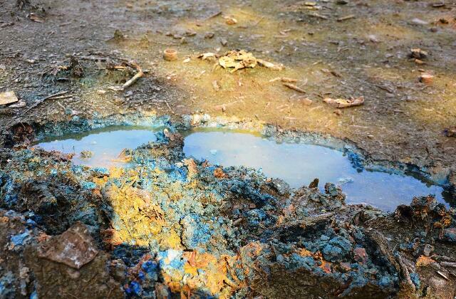 專利交易-鉛污染土壤的修復(fù)方法及鉛污染土壤中鉛的回收方法
